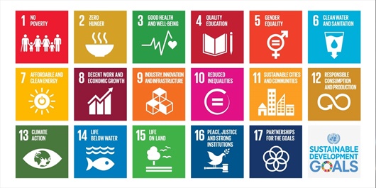  I sustainable development goals e gli obiettivi per un futuro ecosostenibile